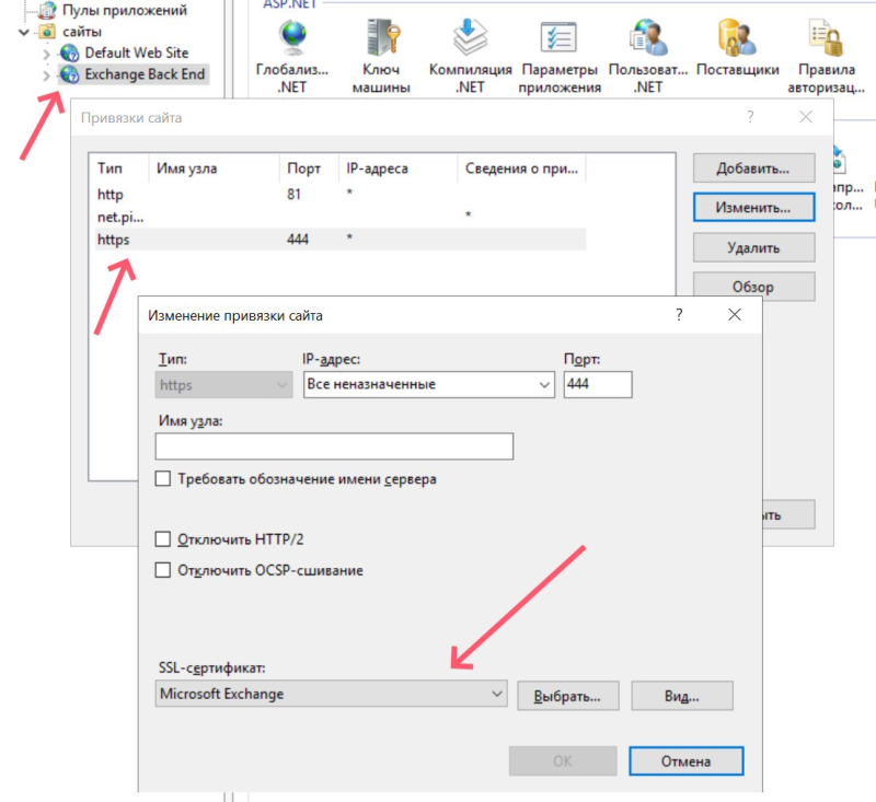 exchange_backend_certificate_444.jpg